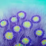 ai generation blue flowers in the deep ocean
